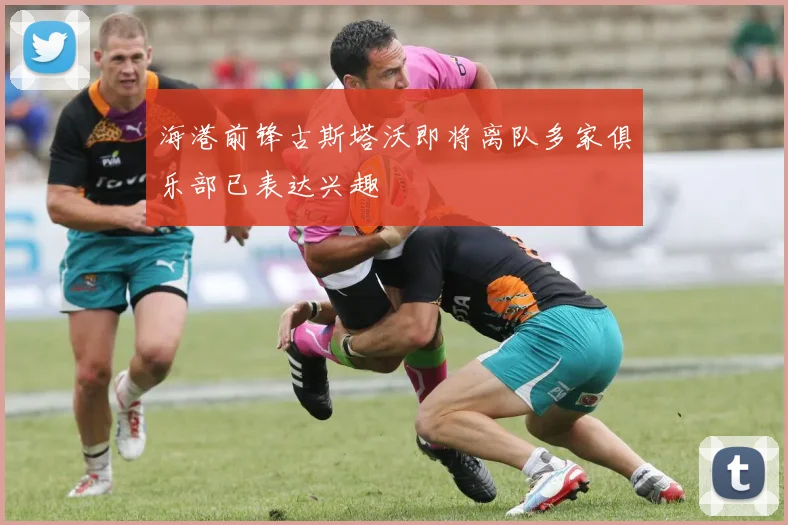 海港前锋古斯塔沃即将离队多家俱乐部已表达兴趣