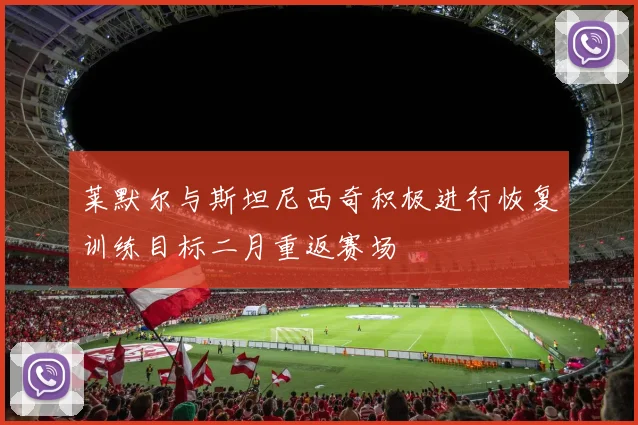 莱默尔与斯坦尼西奇积极进行恢复训练目标二月重返赛场